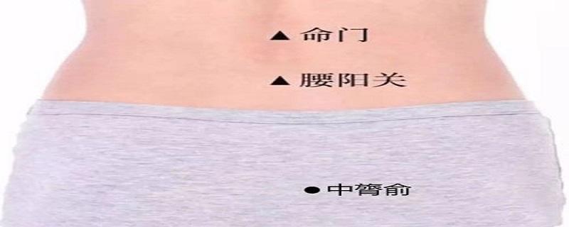 中膂俞的功能主治及作用（中膂俞的位置和功效）