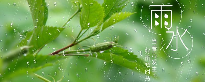 雨水吃什么传统食物 雨水吃什么传统食物养生