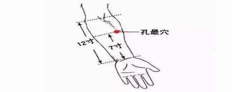 孔最的准确位置图和作用（孔最的准确位置图和作用视频）