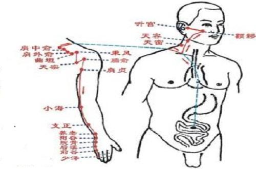 小肠经作用功效 大肠经的作用功效