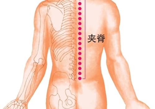 颈椎不好拔罐拔哪里（颈椎病拔罐拔哪个位置好一点）