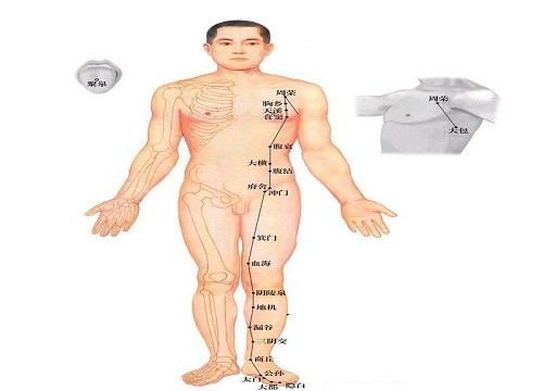 足太阴脾经循行路线图 足少阴肾经循行路线图