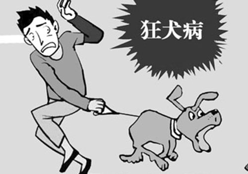 狂犬病的预防措施 狂犬病的预防措施,错误的是