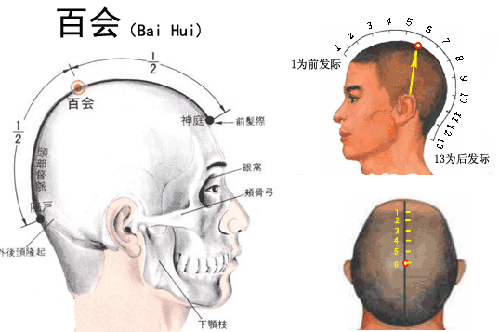 痔疮按摩方法（痔疮按摩方法图解）