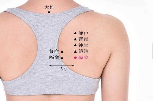 膈关的准确位置图 膈关的准确位置及作用