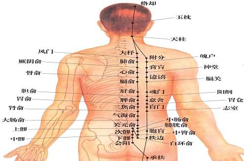 足太阳膀胱经的准确位置图 背部足太阳膀胱经的准确位置图