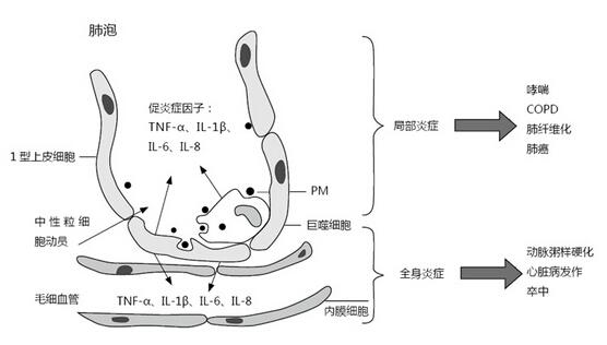 雾霾到底会不会致癌（雾霾会导致癌症吗）