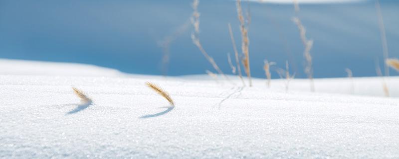 大雪节气吃什么好（大雪节气吃什么好些）