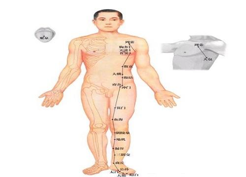 脾经的按摩方向 小腿脾经的按摩方向