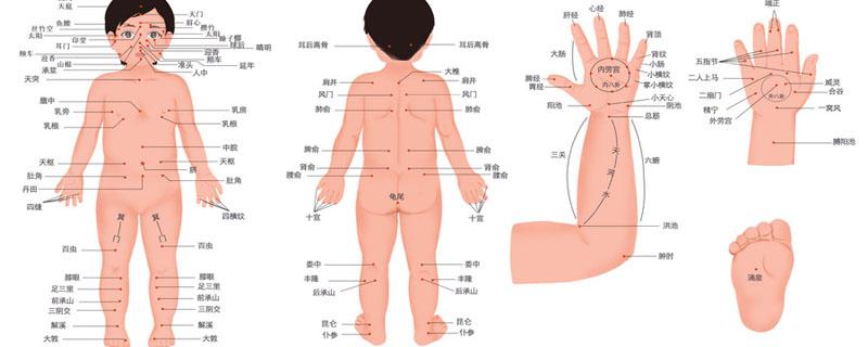 肺经可以每天刮痧吗（刮肺经出痧）