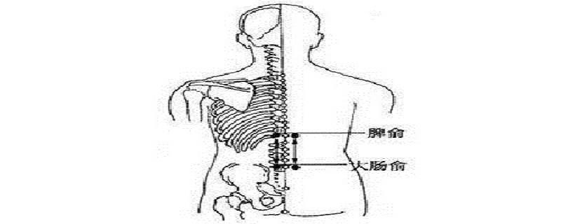 脾俞的简易找法（脾俞的简易找法视频）