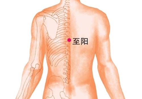 男性拔罐的位置图图解 男士拔罐12个位置示意图