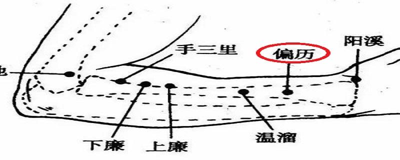 偏历的准确位置 偏历的准确位置图片快速找法