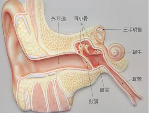 耳朵里面疼是怎么回事（耳朵里面疼是怎么回事还流血水）