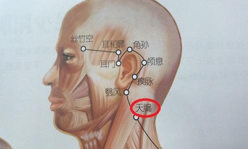 天牗的准确位置图（天牗的准确位置图片视频）