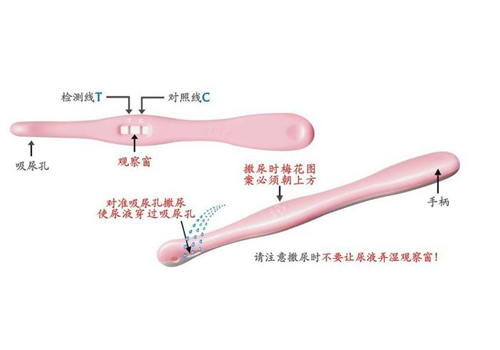 验孕棒怎么使用