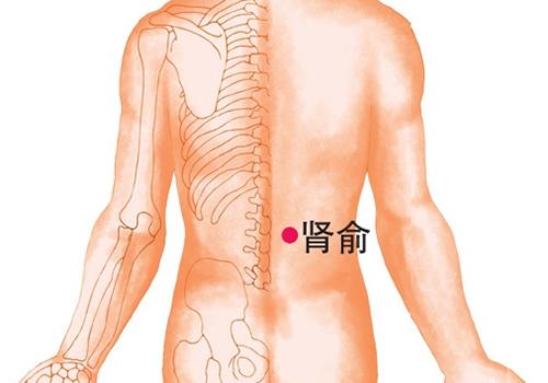 遗精拔罐那个位置（拔完罐遗精）