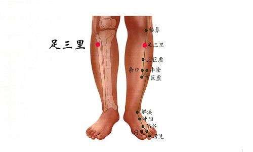 足三里按摩方法（足三里按摩方法足三里位置）