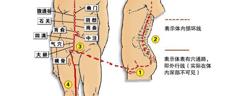 冲脉的准确走向位置图 冲脉不通怎么调理按摩