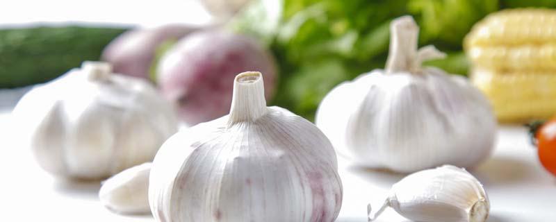 剥好的大蒜能放冷冻吗 大蒜可以剥好放冰箱冷冻吗