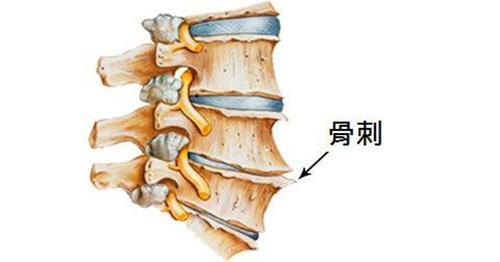 有些病不用治（有些病不用治 常见九种疾病可以不治疗）