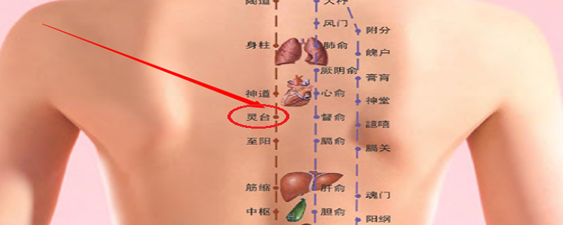 灵台的准确位置功效 人的灵台位置的图片