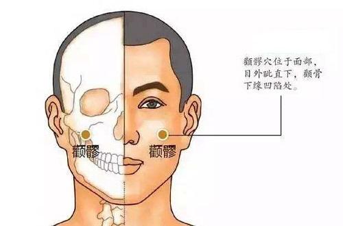 颧髎的准确位置图片 颧髎的作用