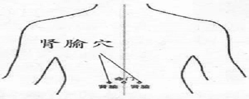 按摩肾俞的功效 按摩肾俞的功效和作用