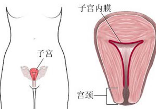 剖腹产后子宫多久恢复正常大小（剖腹产后多久子宫能恢复正常大小）