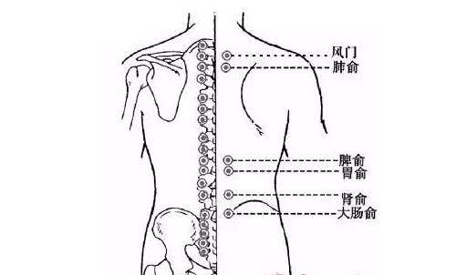 秋冬拔火罐 秋天拔火罐