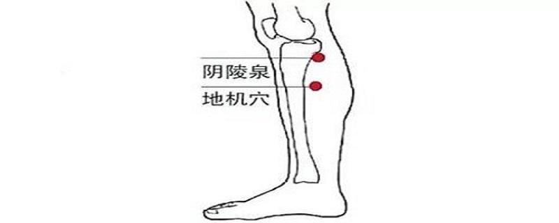 地机的准确位置图视频（地机的准确位置图和视频）