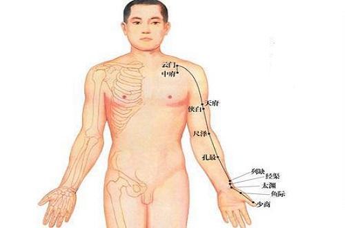 手太阴的准确位置图片（手太阴的准确位置图片和作用）