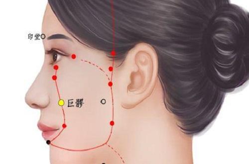 巨髎的准确位置图（巨髎的准确位置图和作用视频）