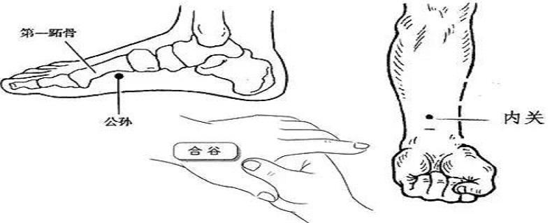 公孙的位置图和作用 公孙的准确位置图和作用简单方法