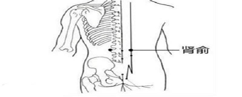 肾俞的简易找法 肾俞的简易找法视频