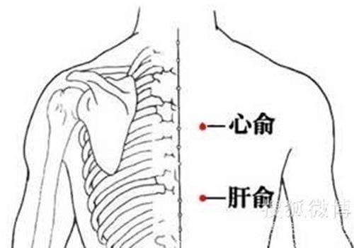 冠心病艾灸穴位 冠心病艾灸什么位置