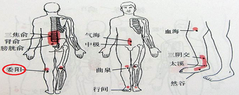 委阳疼是怎么回事（委阳痛是什么问题）