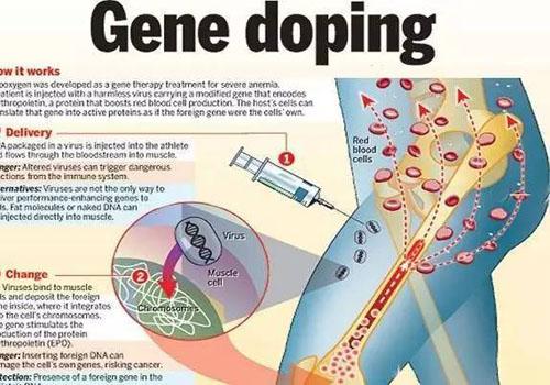 兴奋剂的作用 运动员兴奋剂的作用