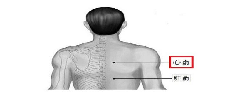 心俞的位置和功效 心俞在什么部位