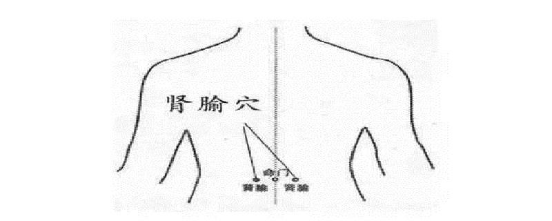 肾俞在身体哪个位置（肾俞在身体哪个部位）