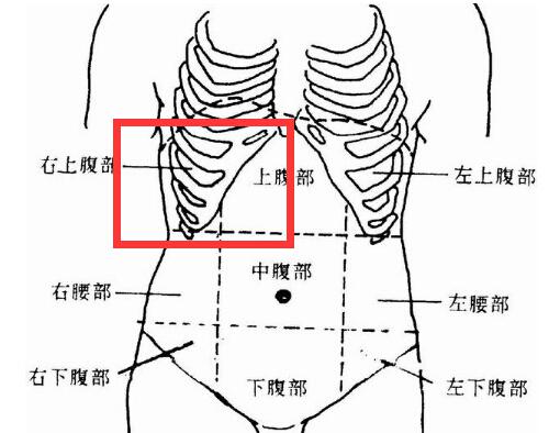 右上腹部疼痛的可能病因 右上腹部疼痛的可能病因男性,辐射到胸部