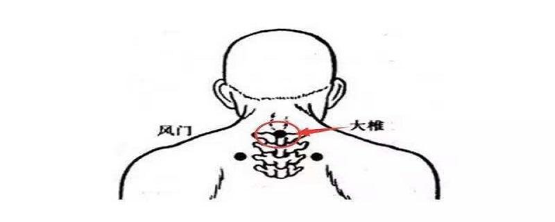 大椎的位置在哪里（大椎的位置在哪里?）