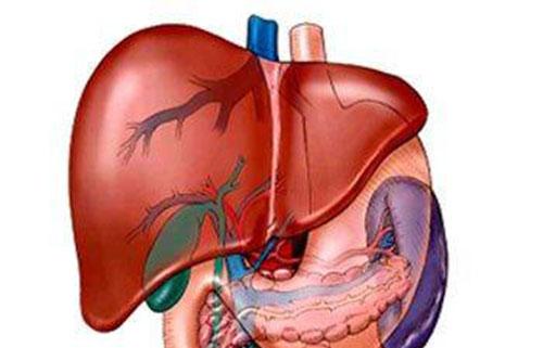 肝囊肿是怎么回事 肝囊肿是怎么回事严重吗