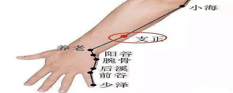 支正的作用（支正的作用功效）