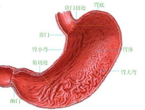 饭后反酸水是怎么回事 饭后偶尔反酸水是怎么回事