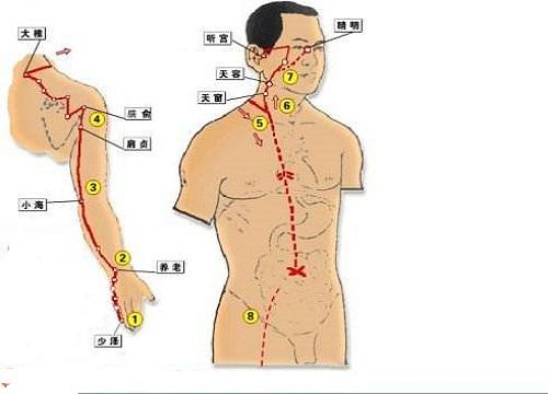 手太阳小肠经经循行图（手太阳小肠经循行）