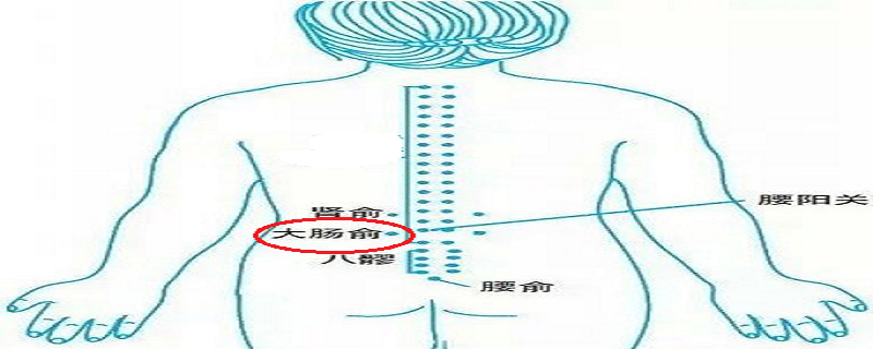 针灸大肠俞有什么作用（针灸大肠俞要注意什么）