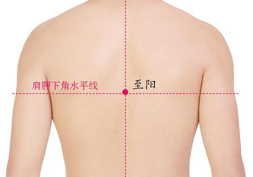 心绞痛拔罐位置图 心脏拔罐的位置图