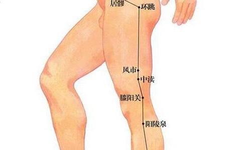 风市的准确位置图和作用（风市的准确位置图和作用按摩方法阳陵泉）