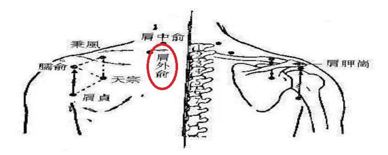 肩外俞在哪里 肩外俞怎么找